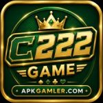 C222 Game