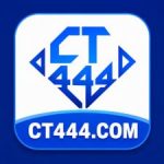 CT444 Game