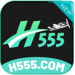 H555 Game