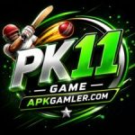 PK11 Game