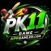 PK11 Game