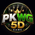 PKWG5D Game