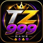 TZ999 Game