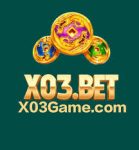 X03 Game