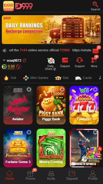 FD999 Game